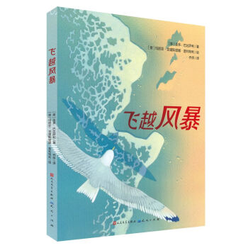 飛越風暴 飛越風暴