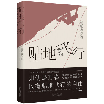 貼地飛行 貼地飛行