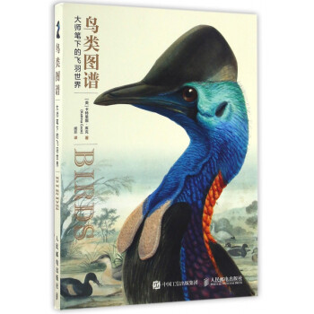 鳥類圖譜 鳥類圖譜