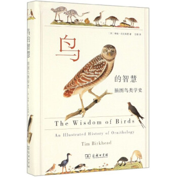 鳥的智慧 鳥的智慧