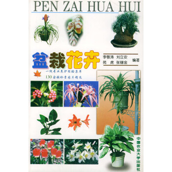 盆栽花卉 盆栽花卉