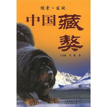 中國藏獒 中國藏獒