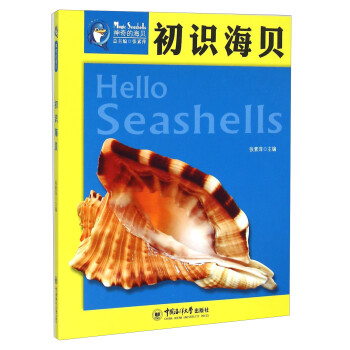 初識海貝 初識海貝