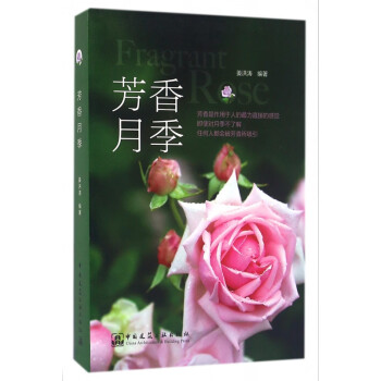芳香月季 芳香月季