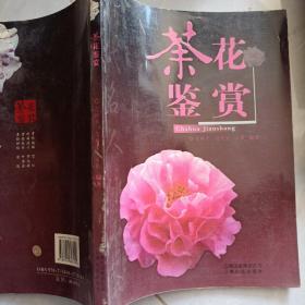 茶花鑒賞 茶花鑒賞