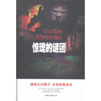 驚魂的謎團 驚魂的謎團