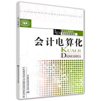 會計電算化 會計電算化