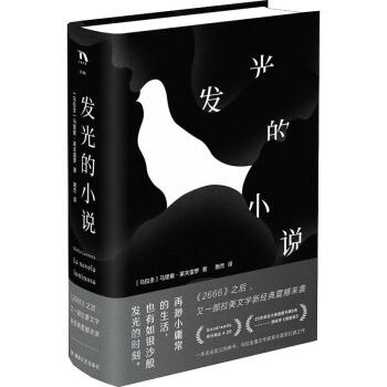 發光的小說 發光的小說