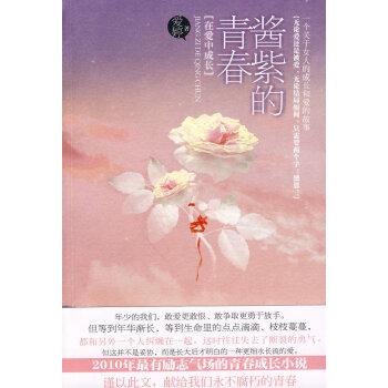 醬紫的青春