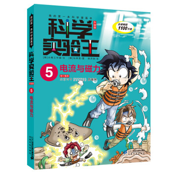 電流與磁力