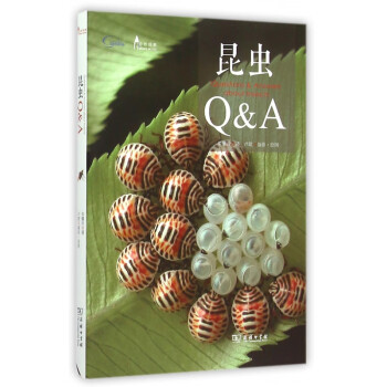 昆蟲Q&A 昆蟲Q&A