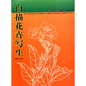 白描花卉寫生 白描花卉寫生