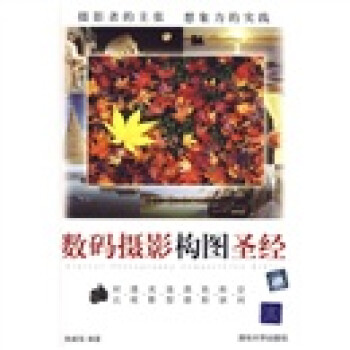 數碼攝影構圖 數碼攝影構圖