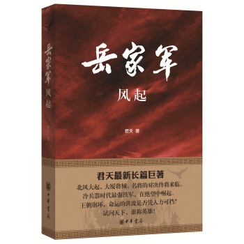 岳家軍風起 岳家軍風起
