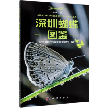 深圳蝴蝶圖鑒 深圳蝴蝶圖鑒
