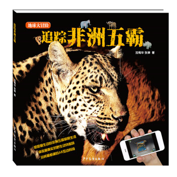 追蹤非洲五霸 追蹤非洲五霸