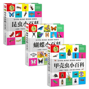 甲殼蟲小百科 甲殼蟲小百科