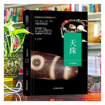 天珠:典藏版 天珠:典藏版