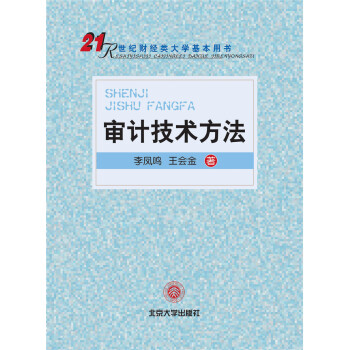 審計技術方法 審計技術方法