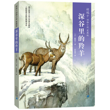 深谷里的羚羊 深谷里的羚羊