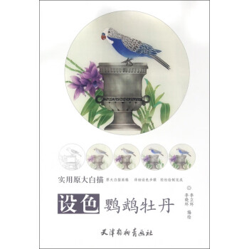 設(shè)色鸚鵡牡丹 設(shè)色鸚鵡牡丹
