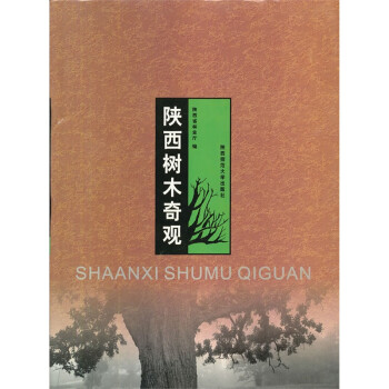 陜西樹木奇觀 陜西樹木奇觀