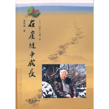在崖縫中成長(zhǎng) 在崖縫中成長(zhǎng)