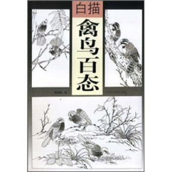 白描禽鳥百態 白描禽鳥百態