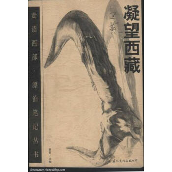 凝望西藏巴荒 凝望西藏巴荒