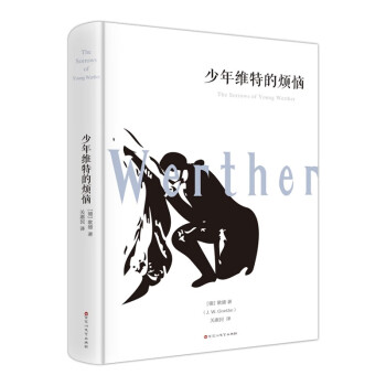 少年維特的煩惱 少年維特的煩惱