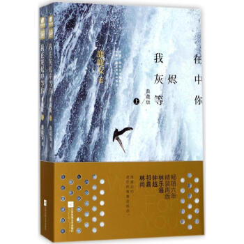 我在灰燼中等你 我在灰燼中等你