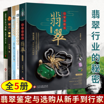 行家這樣買翡翠 行家這樣買翡翠