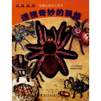 透視奇妙的狼蛛