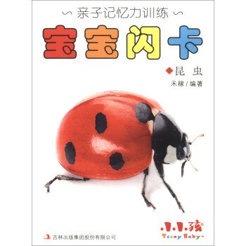 寶寶閃卡-昆蟲