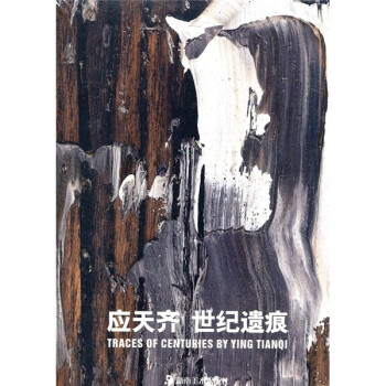 應天齊世紀遺痕 應天齊世紀遺痕
