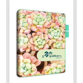 多肉溫暖我的心 多肉溫暖我的心