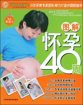 圖解懷孕40周 圖解懷孕40周