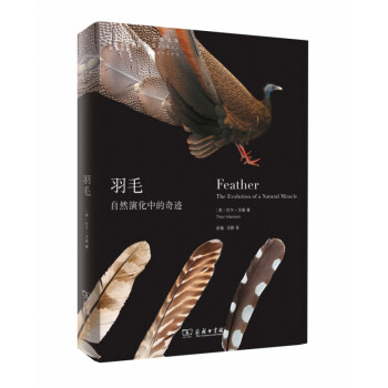 羽毛/自然文庫