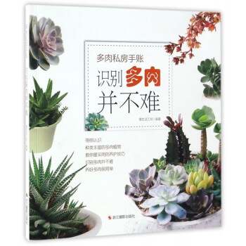 識別多肉并不難