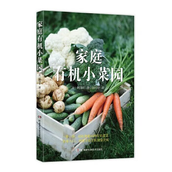 家庭有機小菜園 家庭有機小菜園