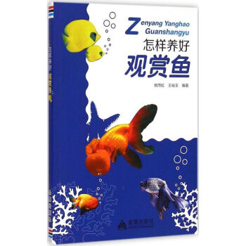 怎樣養好觀賞魚