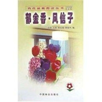 郁金香風(fēng)信子 郁金香風(fēng)信子