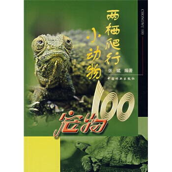 兩棲爬行小動物 兩棲爬行小動物