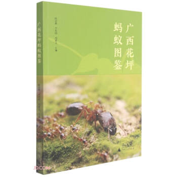 廣西花坪螞蟻圖鑒 廣西花坪螞蟻圖鑒