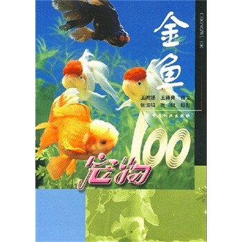 寵物100:金魚 寵物100:金魚