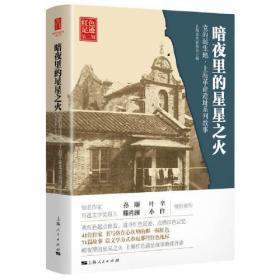 暗夜里的星星之火 暗夜里的星星之火