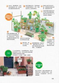 陽臺種菜全家夠吃 陽臺種菜全家夠吃