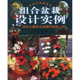 組合盆栽設計實例