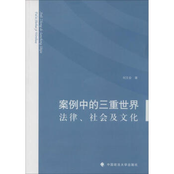 案例中的三重世界 案例中的三重世界