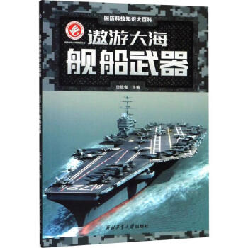 巡游大海艦船武器 巡游大海艦船武器